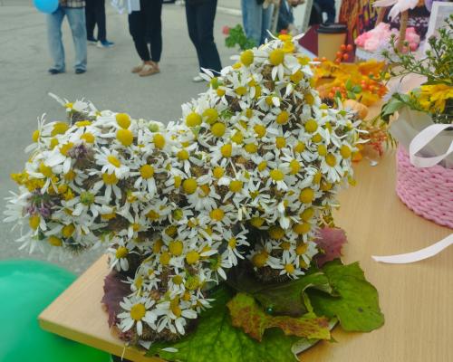 В Риддере прошёл фестиваль цветов