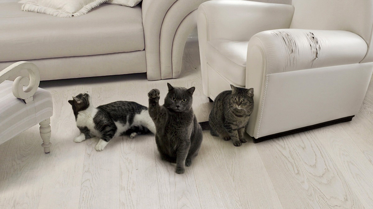 В ВКО больше 500 человек пострадали от различных животных