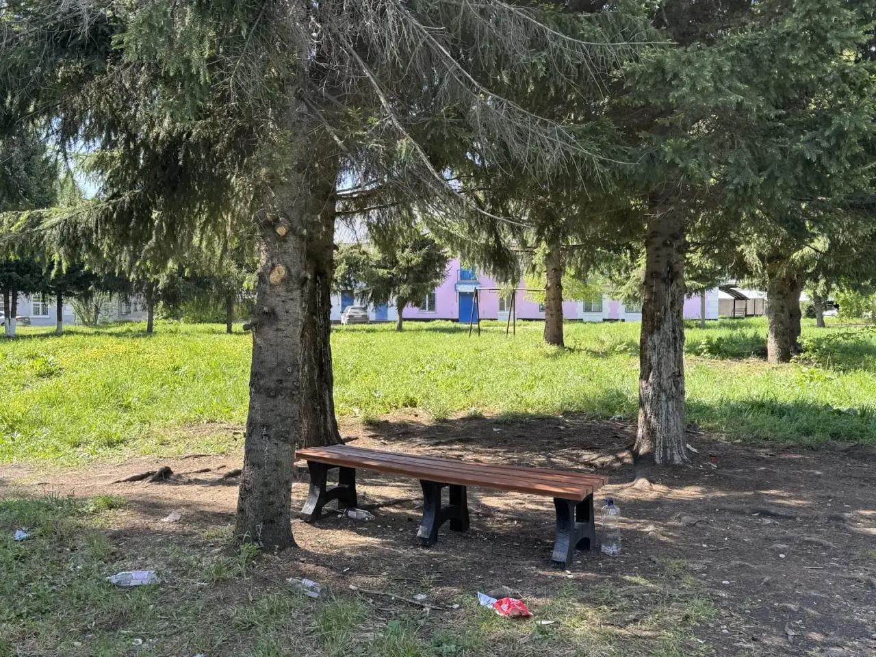 Новые антивандальные лавочки «кочуют» по Центральному парку города Алтая