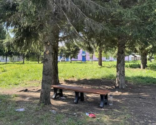 Новые антивандальные лавочки «кочуют» по Центральному парку города Алтая