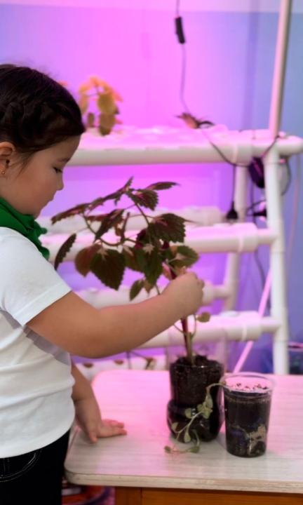 Цветы жизни: как в детском саду в Семее поддержали акцию «Таза Қазақстан»