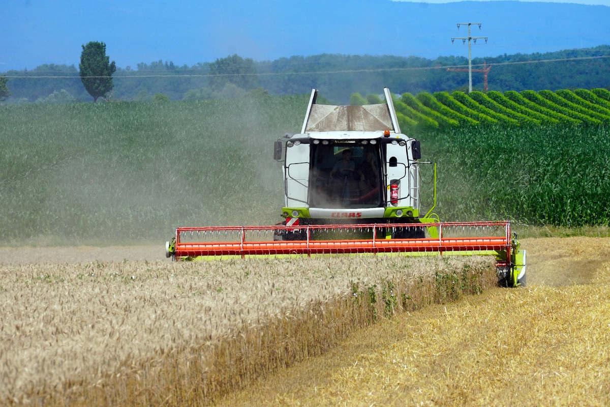 Норма о сокращении зачета НДС для экспортеров сельхозпродукции будет исключена
