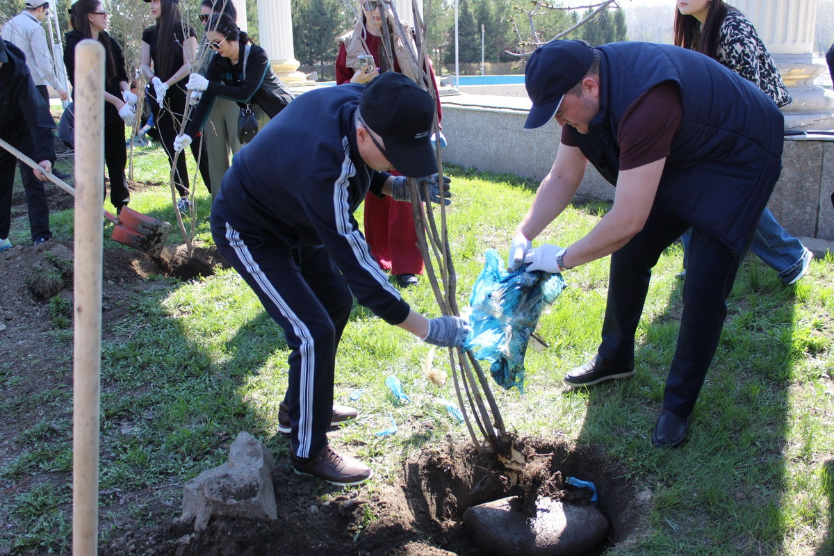 В Усть-Каменогорске высадили полторы сотни деревьев возле Амфитеатра