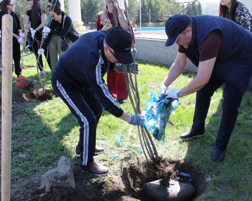 В Усть-Каменогорске высадили полторы сотни деревьев возле Амфитеатра