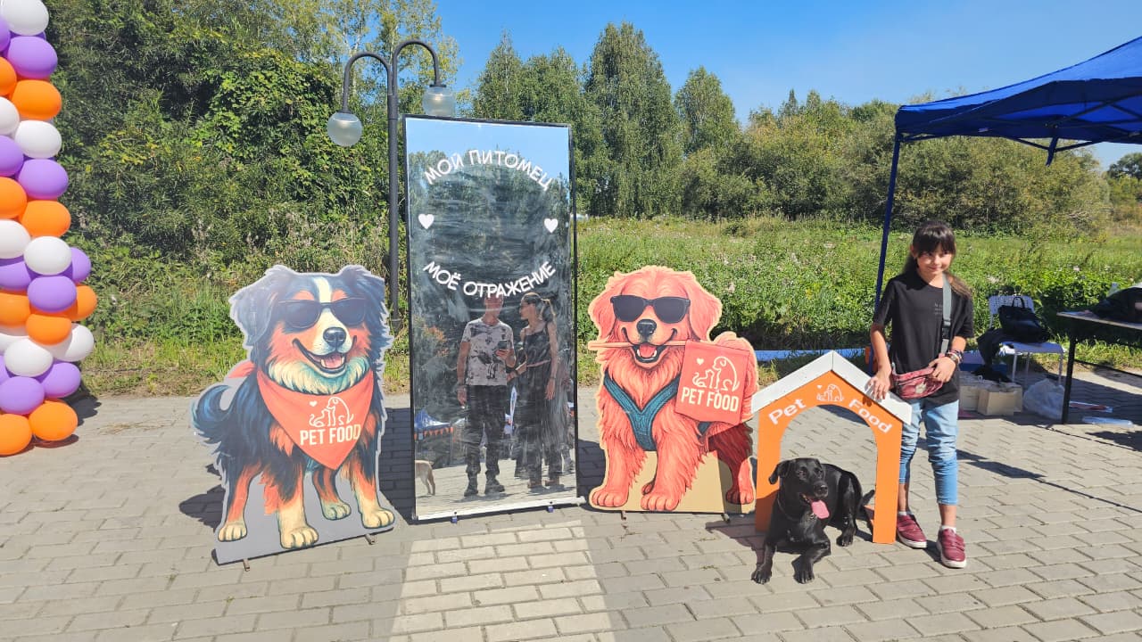 Собаки, конкурсы и помощь приютам: как прошёл PET DOG FEST 2026
