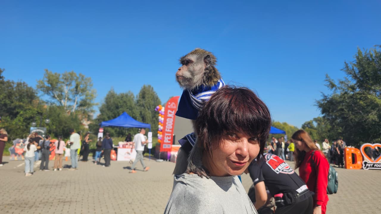 Собаки, конкурсы и помощь приютам: как прошёл PET DOG FEST 2026