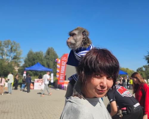 Собаки, конкурсы и помощь приютам: как прошёл PET DOG FEST 2026