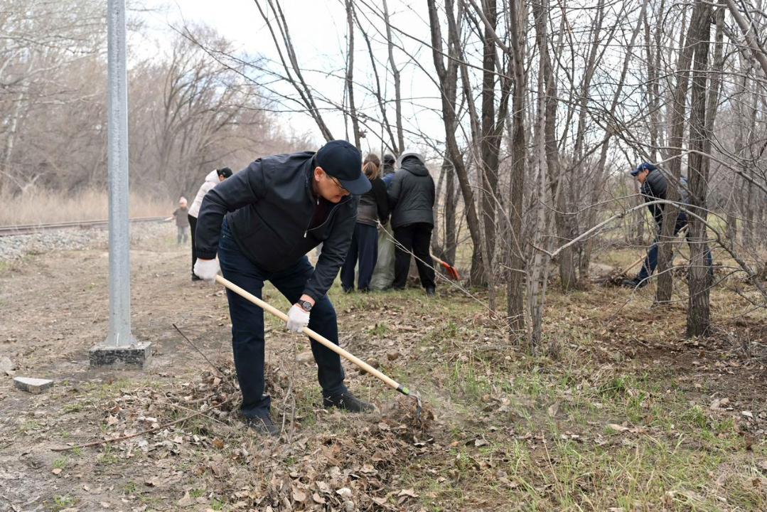 В Семее продолжается масштабная экологическая акция с участием тысяч жителей