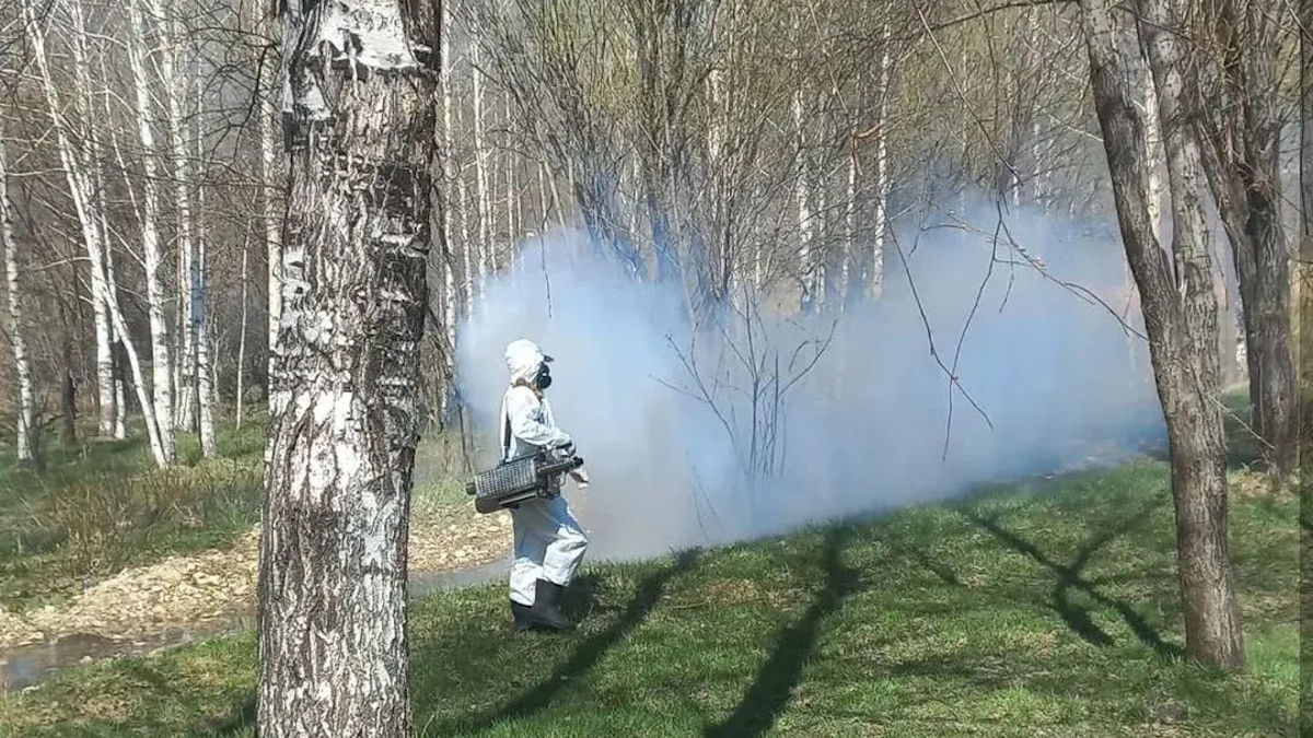 В Риддере началась противоклещевая обработка территорий