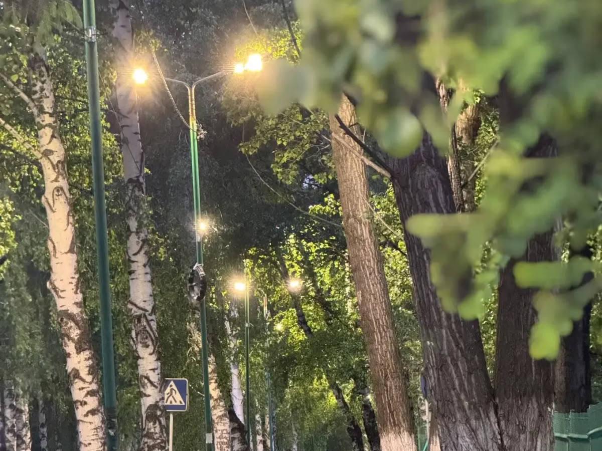 Уличное освещение в городе Алтае будет работать всю ночь в дни фестиваля в Катоне