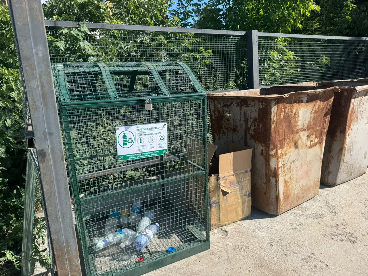 В городе Алтае организовывают раздельный сбор мусора