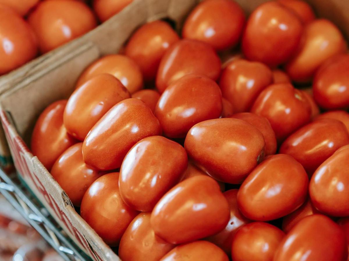 В Казахстане обнаружен карантинный вирус в партии семян томата