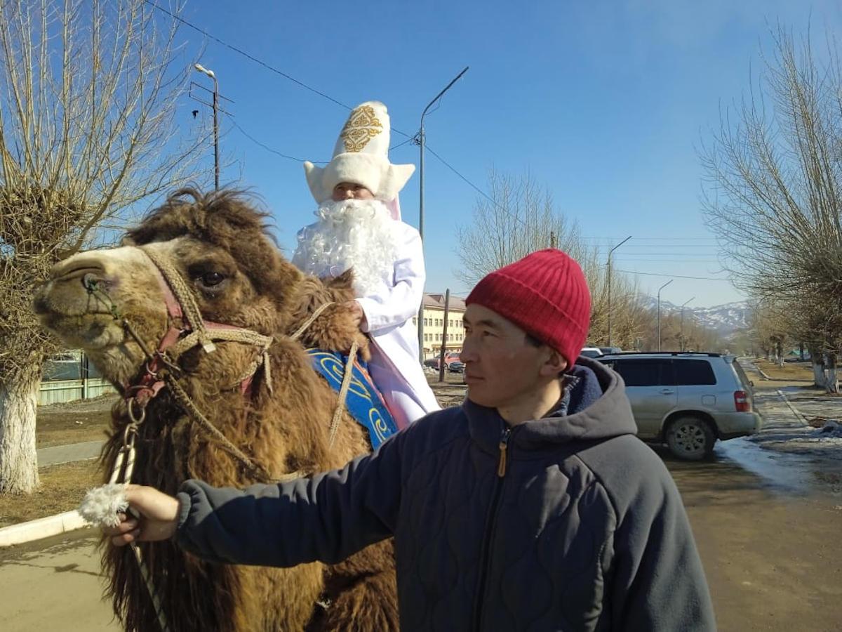 ВКО. Караван с верблюдами стал гвоздём программы на праздновании Наурыза в Бозанбае