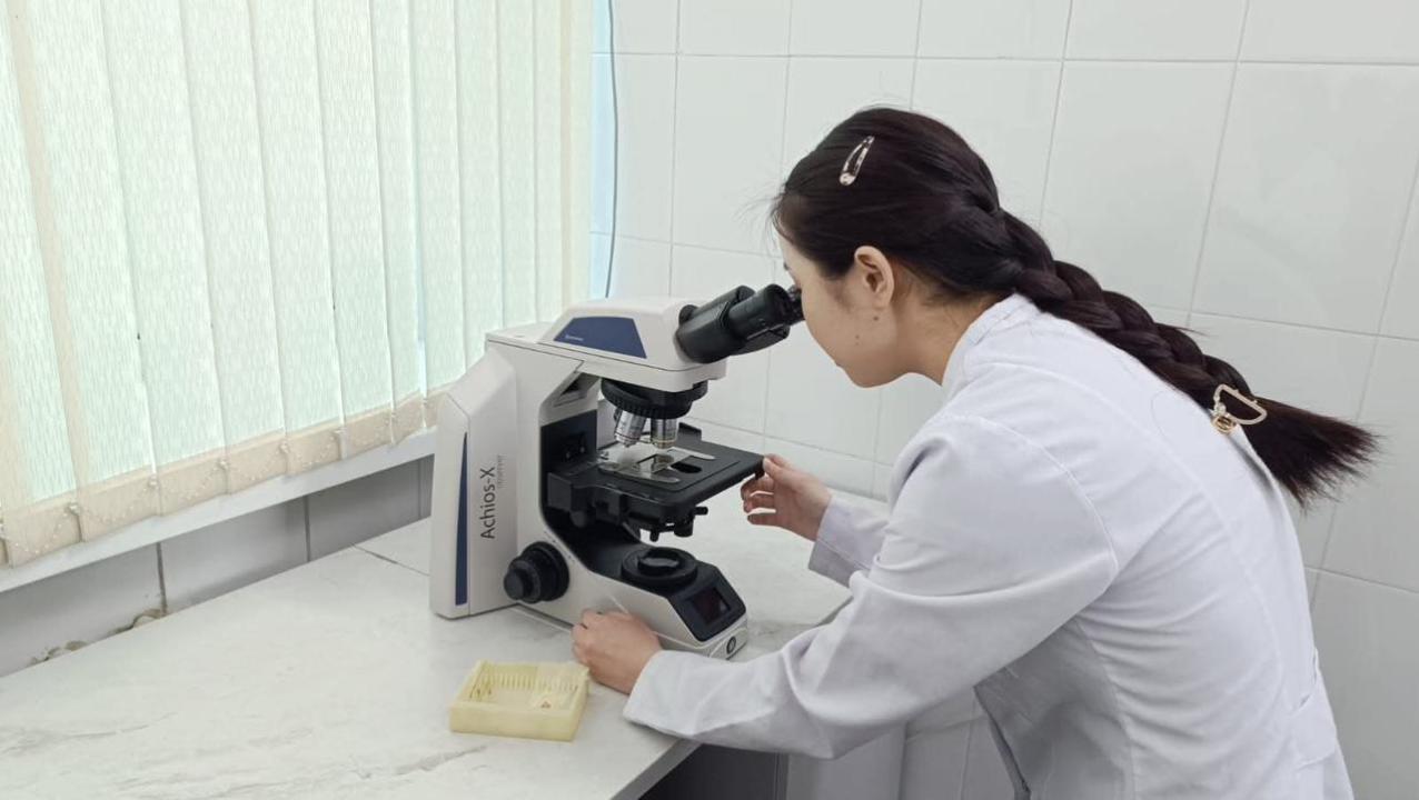 В области Абай усиливают овцеводство: в Семее запущен научный селекционный центр