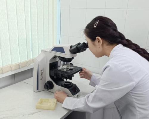 В области Абай усиливают овцеводство: в Семее запущен научный селекционный центр