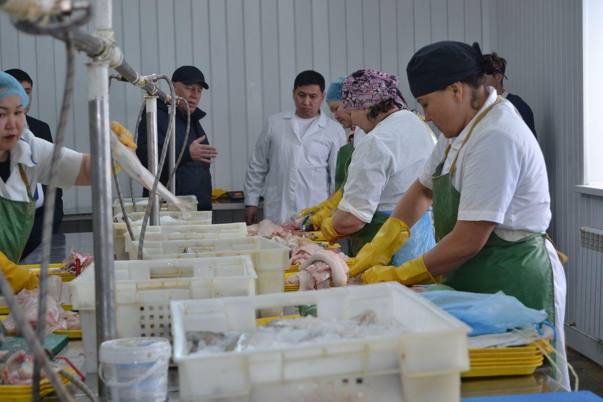 Самар ауданының әйелдері экономикаға қосқан үлестері үшін алғысқа ие болды