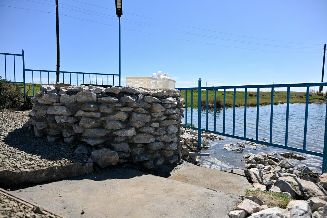 В Жарминском районе благоустроили священный источник и высадили ели