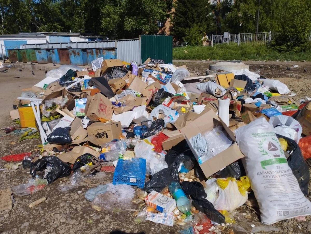 В Риддере предпринимателей оштрафовали за незаконный выброс мусора на контейнерной площадке