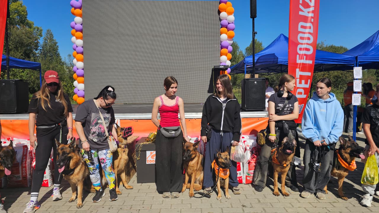Собаки, конкурсы и помощь приютам: как прошёл PET DOG FEST 2026
