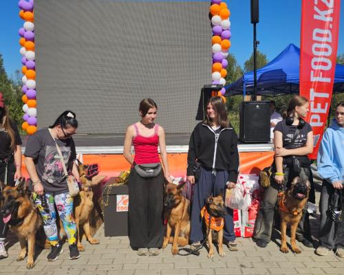 Собаки, конкурсы и помощь приютам: как прошёл PET DOG FEST 2026