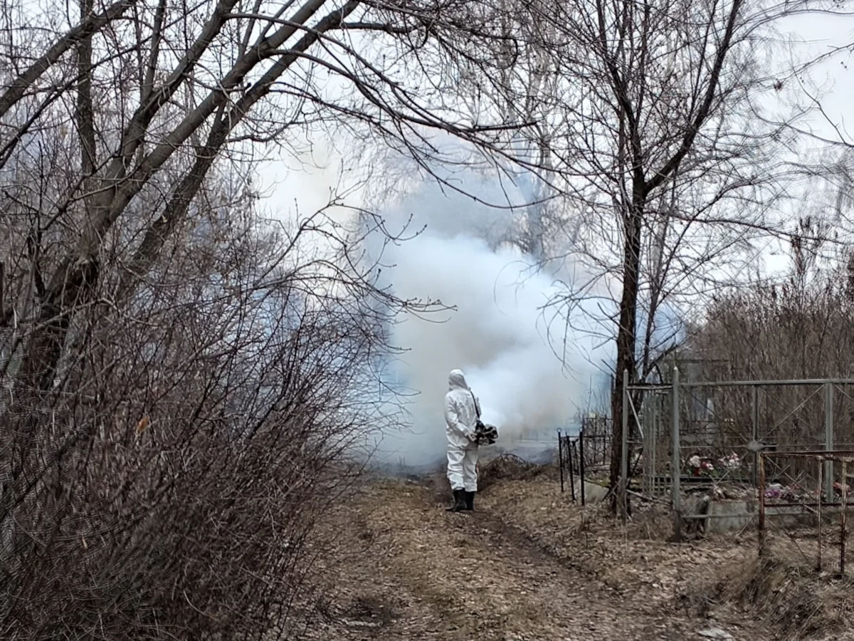 ВКО. В Глубоковском районе тоже проводится обработка территории против клещей