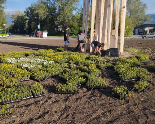 В Риддере у подножия Байтерека расцветает яркое панно