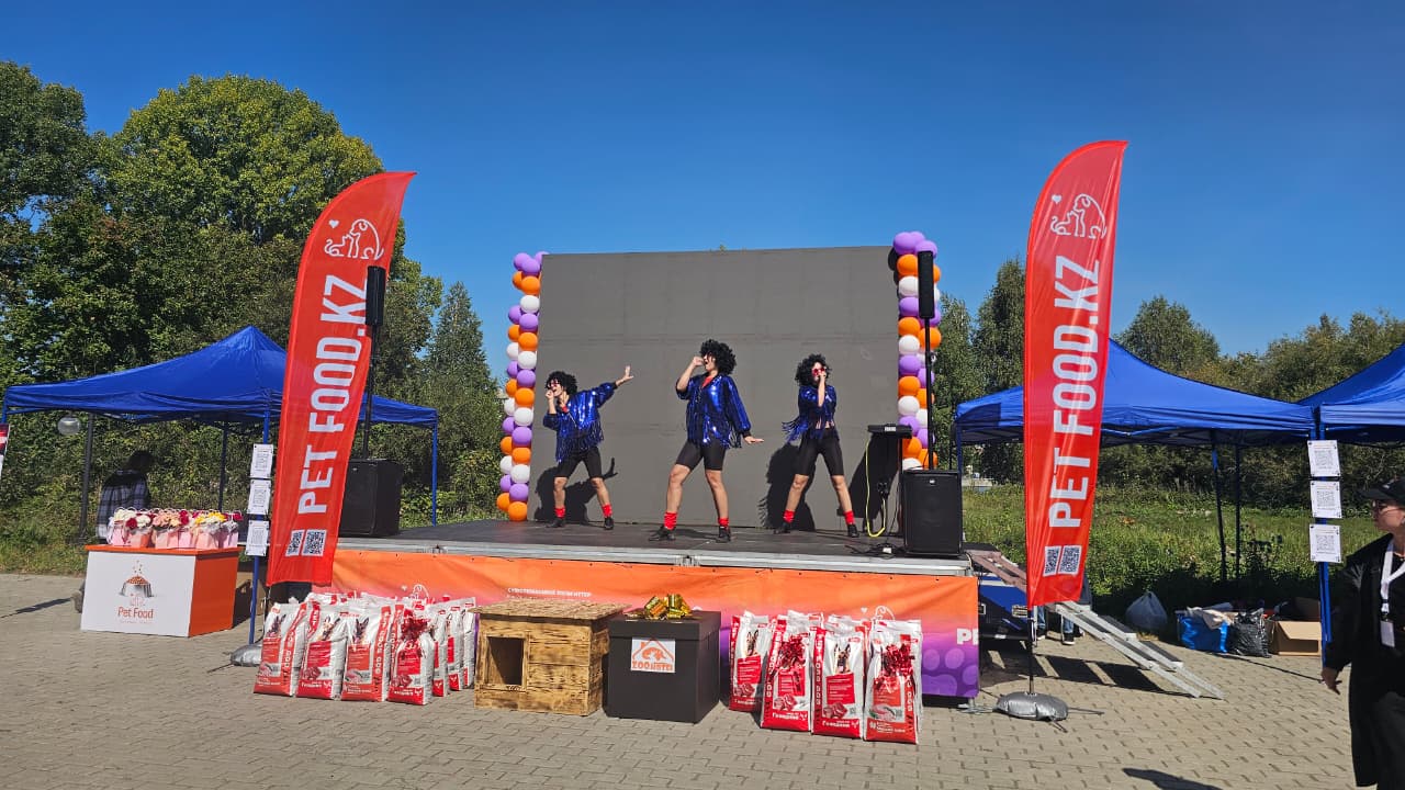 Собаки, конкурсы и помощь приютам: как прошёл PET DOG FEST 2026