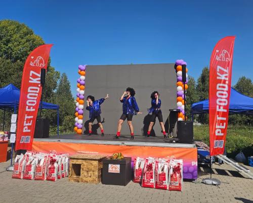 Собаки, конкурсы и помощь приютам: как прошёл PET DOG FEST 2026