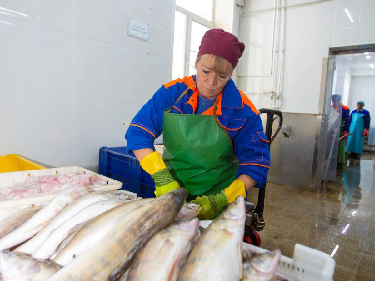 В ВКО планируется строительство комплекса по переработке рыбной продукции