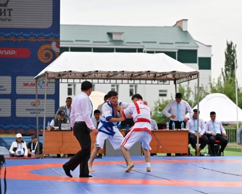 Национальный спорт, культура и образование объединились на фестивале в области Абай