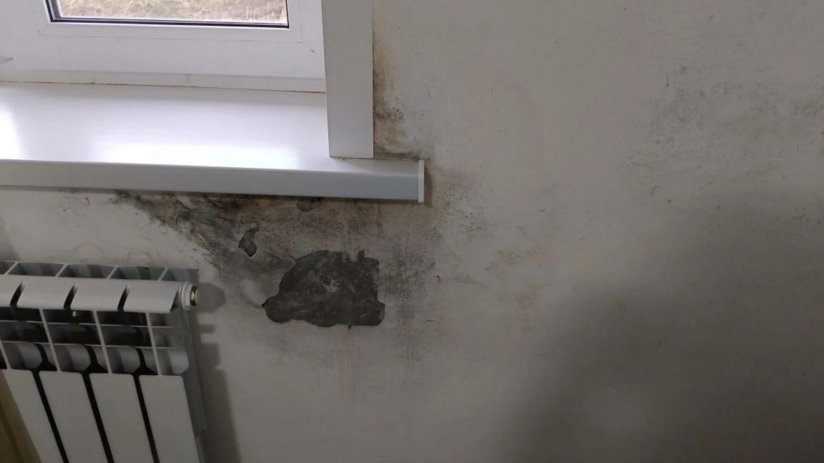 Многодетные семьи из Риддера жалуются на сырость в домах, построенных по программе «Одноэтажный Восток»