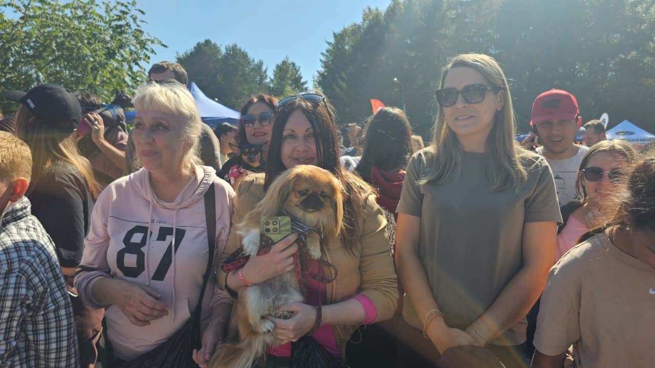 Собаки, конкурсы и помощь приютам: как прошёл PET DOG FEST 2026