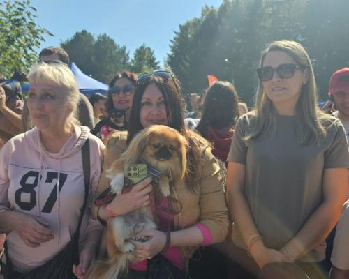 Собаки, конкурсы и помощь приютам: как прошёл PET DOG FEST 2026
