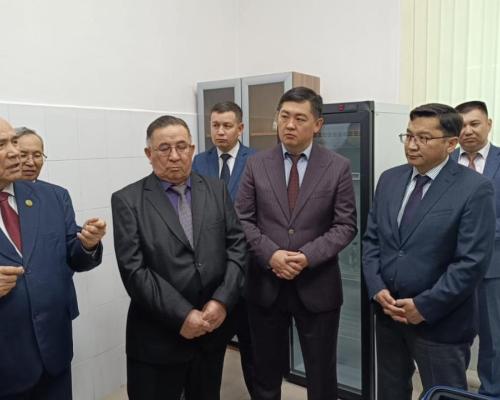 В области Абай усиливают овцеводство: в Семее запущен научный селекционный центр