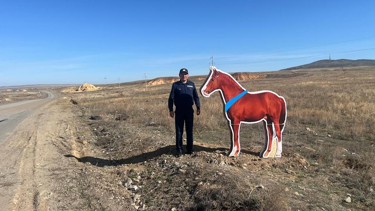 В ВКО продолжают устанавливать макеты сельхозживотных вдоль дорог