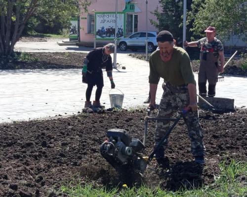 В сквер Тайшибаева в Риддере пришли озеленители-профессионалы