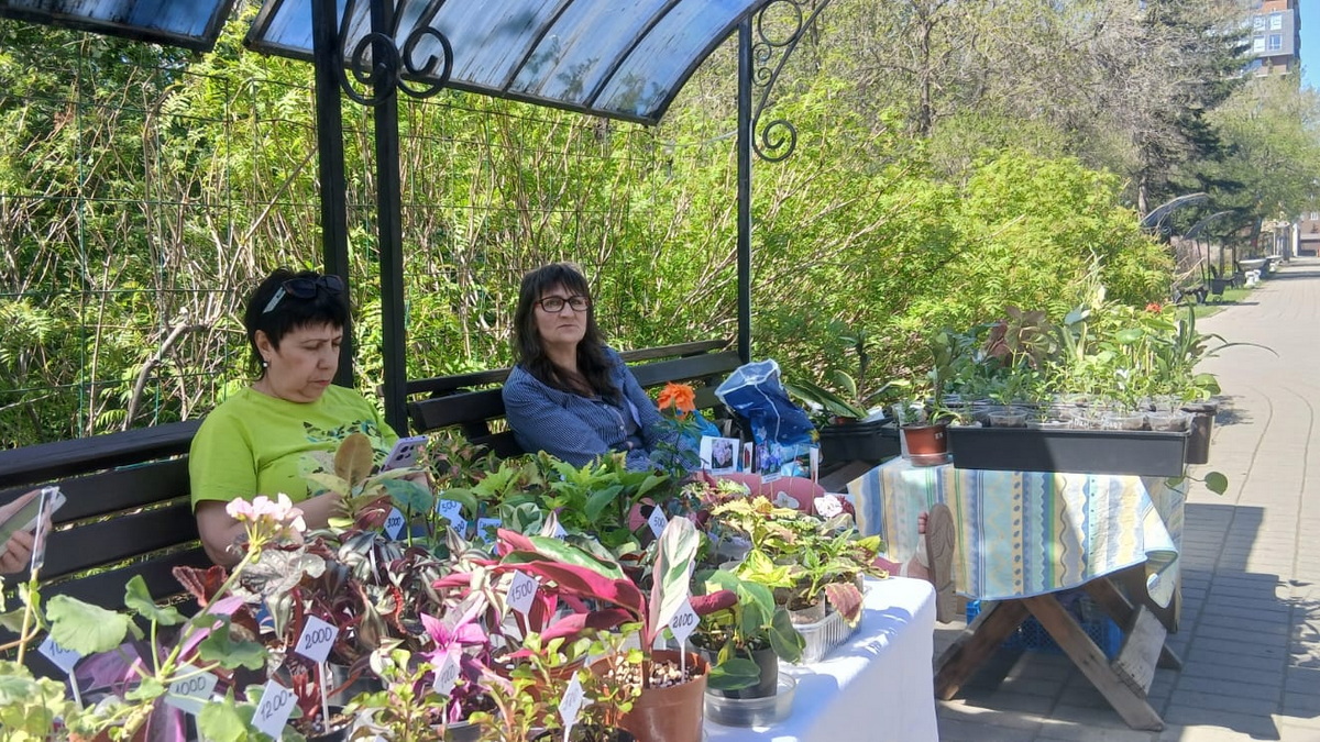 В парке имени К.Кайсенова раскинула свои ряды ярмарка рукодельников