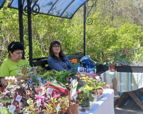 В парке имени К.Кайсенова раскинула свои ряды ярмарка рукодельников