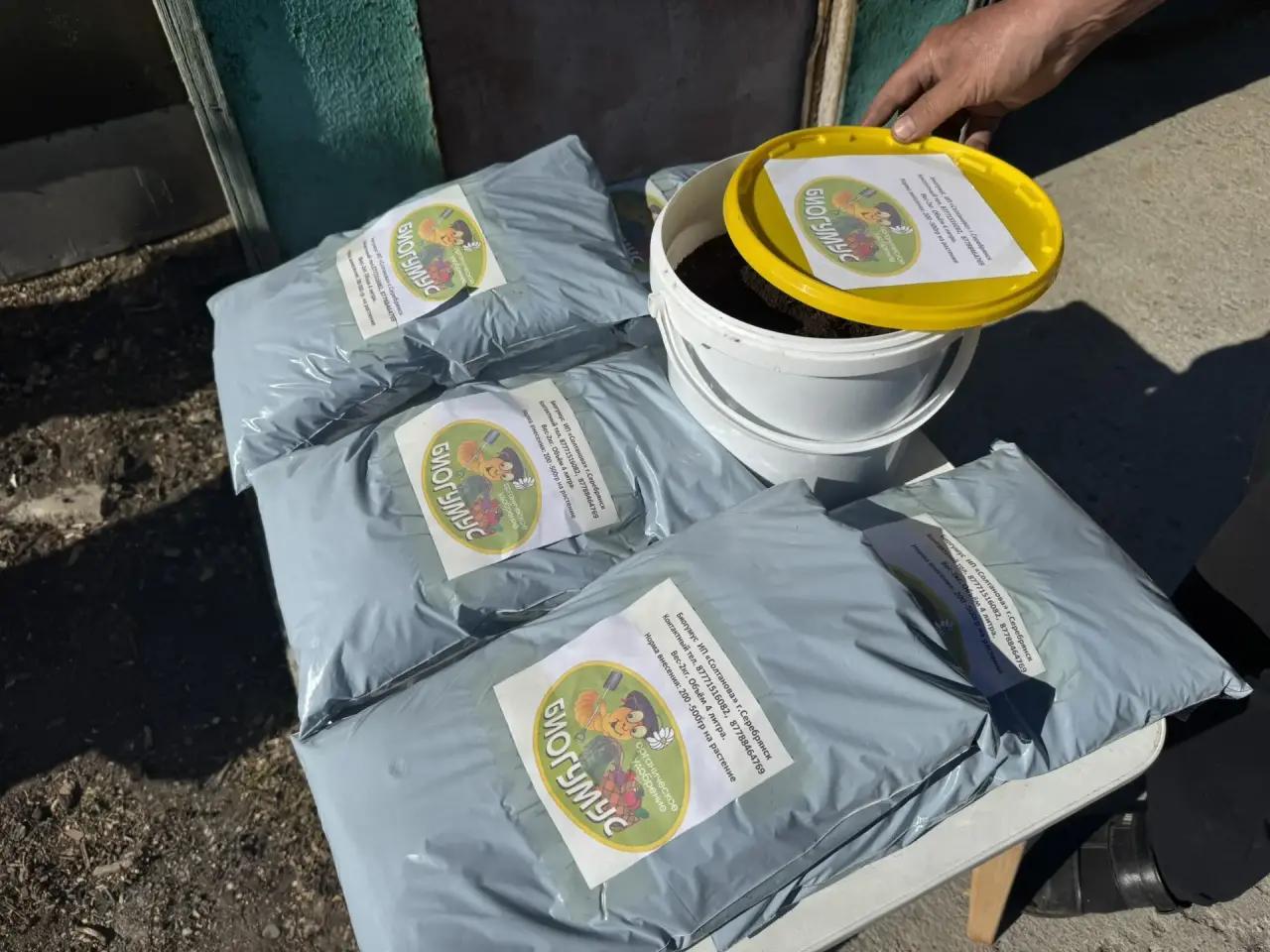 Как калифорнийские черви помогают семье из района Алтай заработать на биогумусе