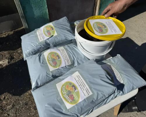 Как калифорнийские черви помогают семье из района Алтай заработать на биогумусе