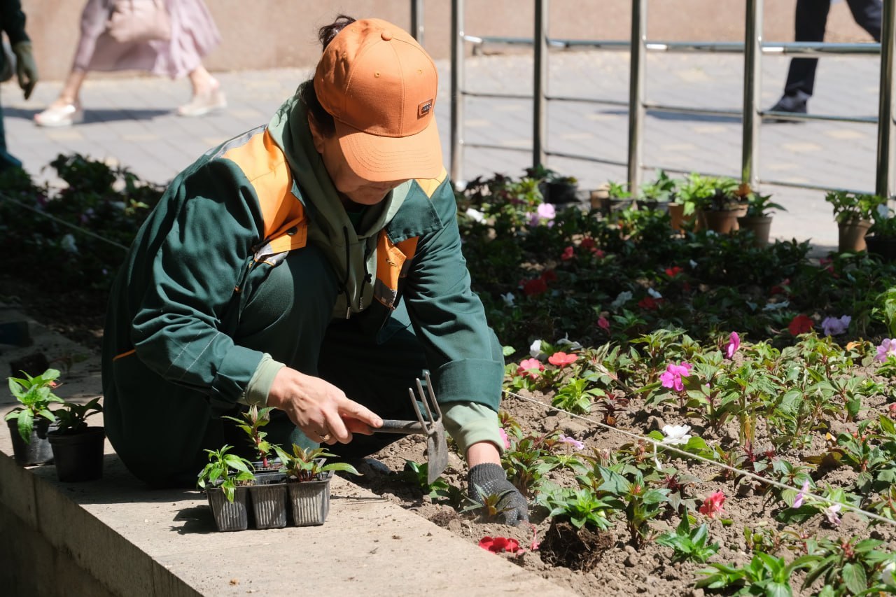 Алматы станет цветущим: новые клумбы и кустарники запланированы по всему городу