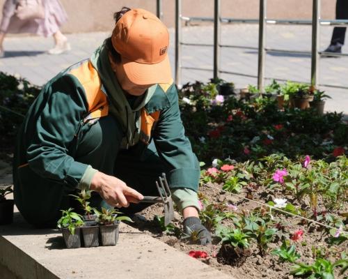 Алматы станет цветущим: новые клумбы и кустарники запланированы по всему городу