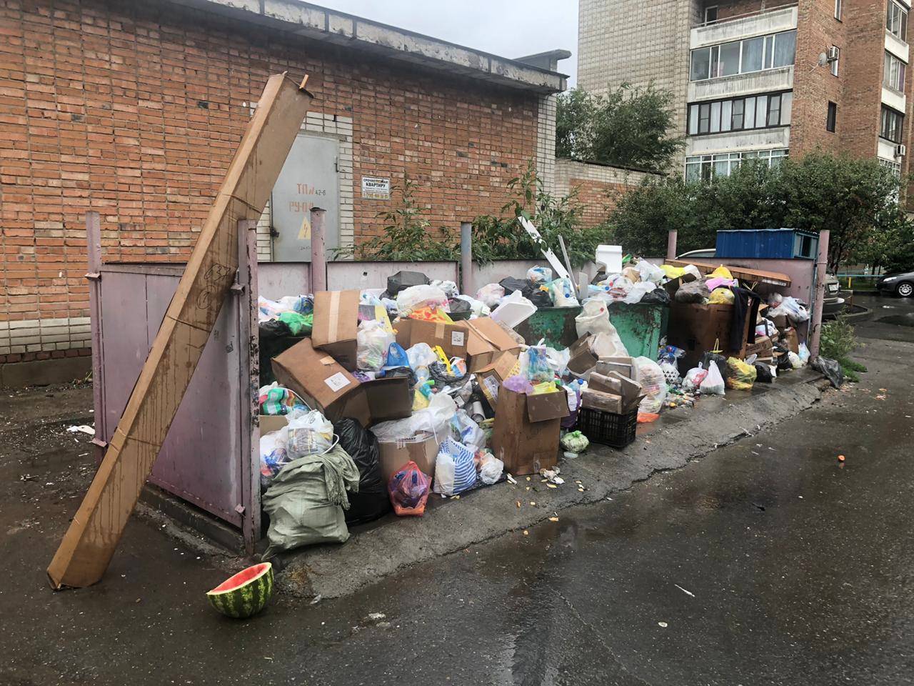 Власти Усть-Каменогорска планируют установить 20 площадок для крупногабаритных отходов