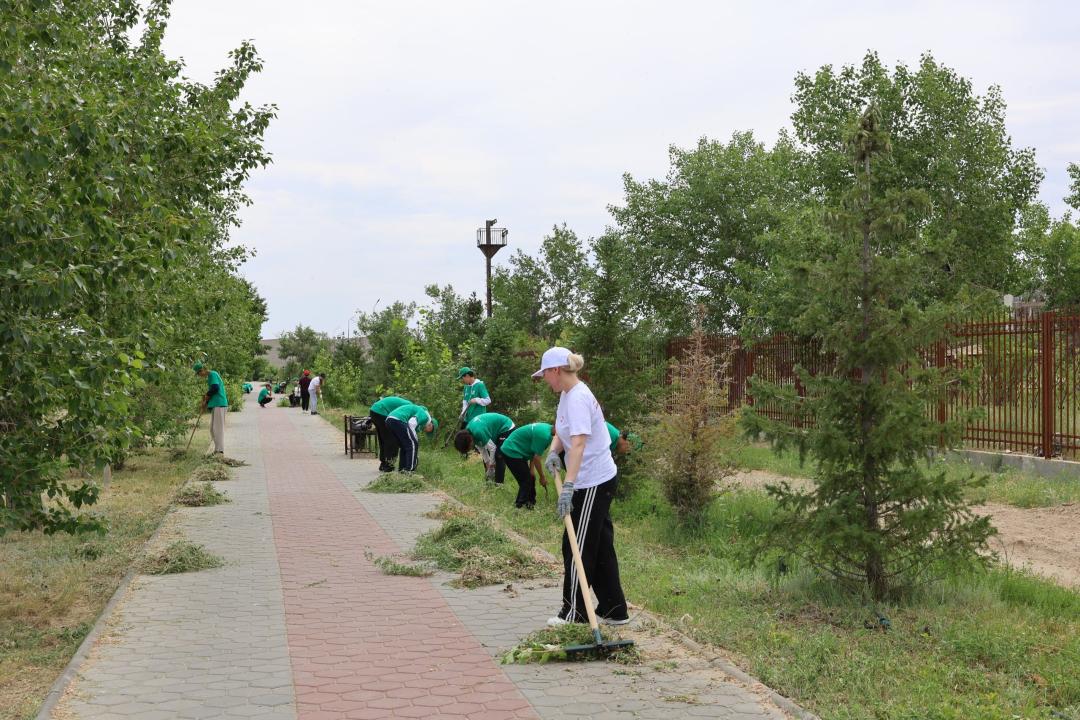 Более 130 жителей Курчатова вышли на уборку берега Иртыша