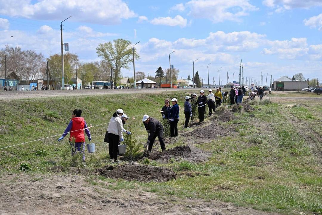 «Таза Қазақстан» в Семее и области Абай: итоги двухмесячника и планы
