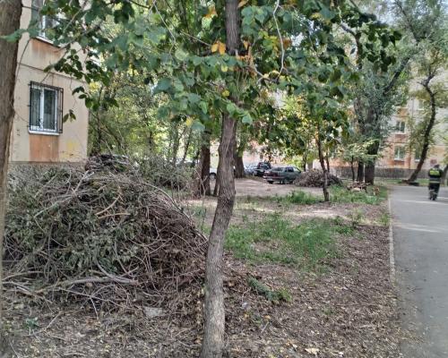 Высохший валежник вспыхнул рядом с детским садом в Усть-Каменогорске
