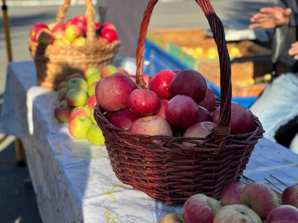 В Усть-Каменогорске проведут сразу две сельскохозяйственные ярмарки