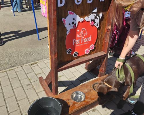 Собаки, конкурсы и помощь приютам: как прошёл PET DOG FEST 2026