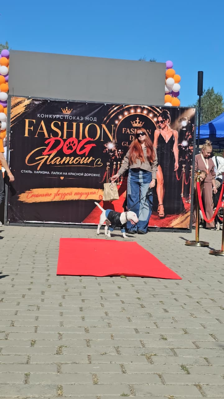 Собаки, конкурсы и помощь приютам: как прошёл PET DOG FEST 2026