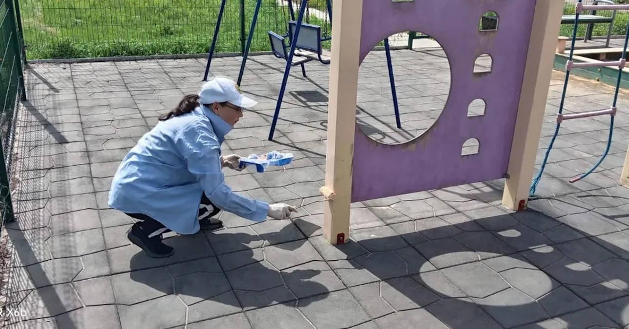 В ВКО сельчане «взяли шефство» над детской площадкой и высаженными рядом деревьями